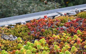 the cost of Thorncross green roof installation